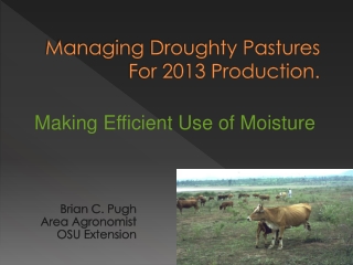 Managing Droughty Pastures For 2013 Production.