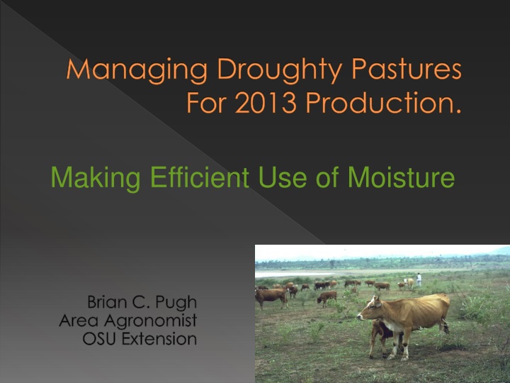 managing droughty pastures for 2013 production