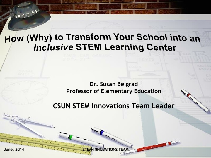 dr susan belgrad professor of elementary education csun stem innovations team leader