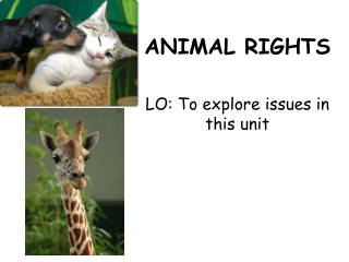 ANIMAL RIGHTS LO: To explore issues in this unit