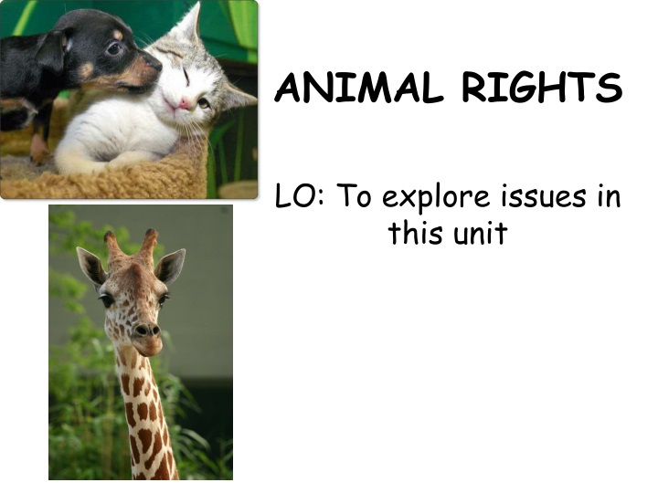 animal rights lo to explore issues in this unit