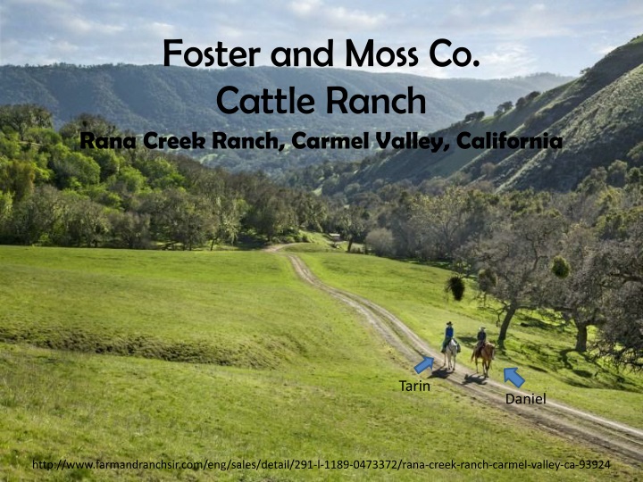 foster and moss co cattle ranch