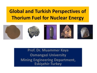 Global and Turkish P erspectives of Thorium F uel for N uclear E nergy