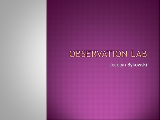 Observation Lab