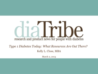 Type 1 Diabetes Today: What Resources Are Out There? Kelly L. Close, MBA March 2, 2013
