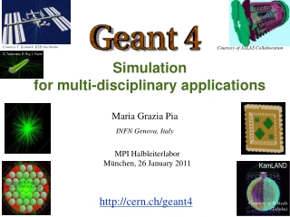 Simulation for multi-disciplinary applications