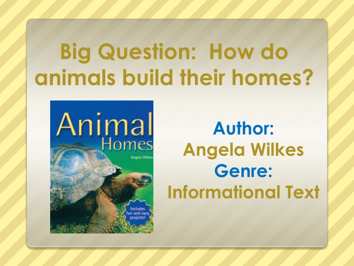 big question how do animals build their homes