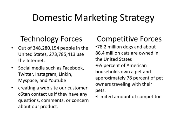 domestic marketing strategy