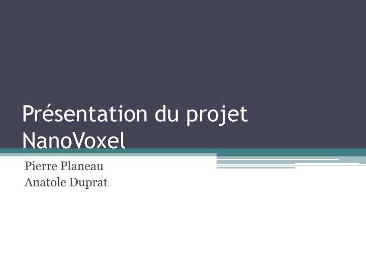 pr sentation du projet nanovoxel