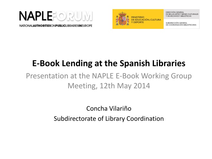 e book lending at the spanish libraries