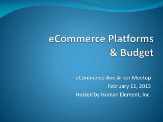 eCommerce Platforms &amp; Budget
