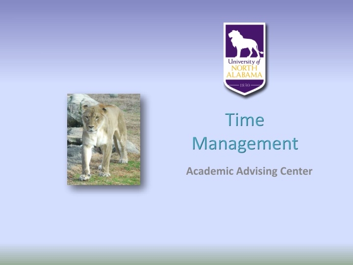 time management