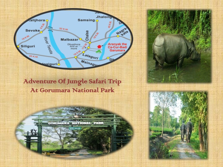 adventure of jungle safari trip at gorumara