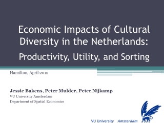 Economic Impacts of Cultural Diversity in the Netherlands: Productivity, Utility, and Sorting