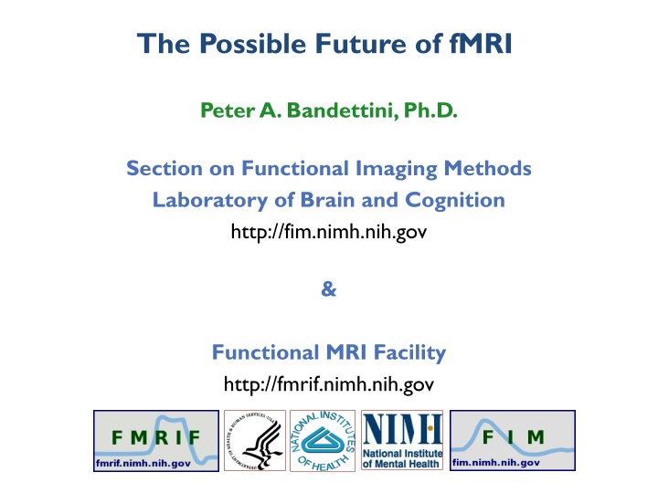the possible future of fmri