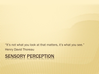 Sensory Perception