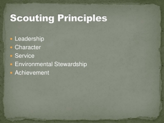 Scouting Principles