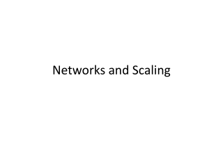 Networks and Scaling