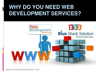 Why do you need web development services ?