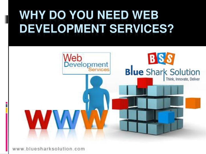 why do you need web development services