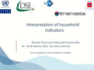 Interpretation of household indicators
