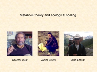 Metabolic theory and ecological scaling