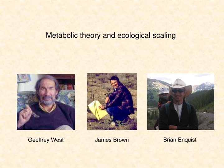 metabolic theory and ecological scaling