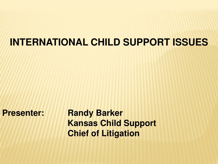 international child support issues presenter
