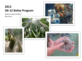 2013 GK-12 Belize Program