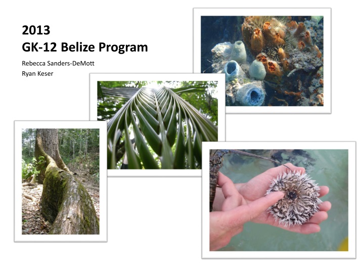 2013 gk 12 belize program