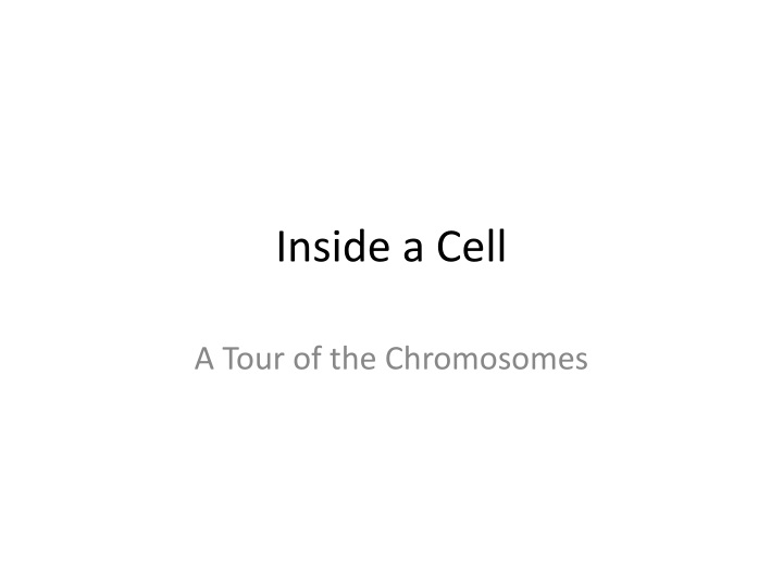 inside a cell