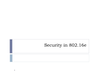 Security in 802.16e