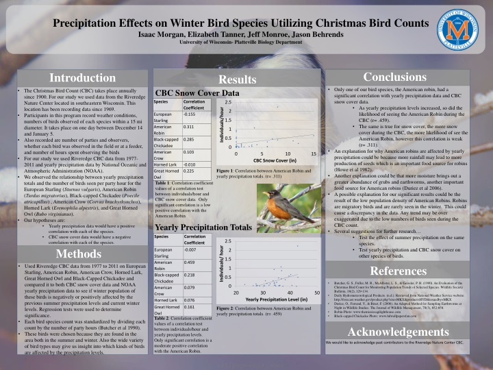 precipitation effects on winter bird species