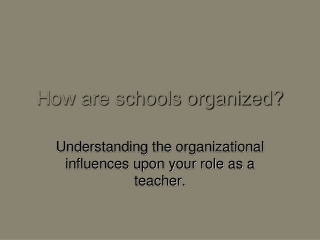 How are schools organized?