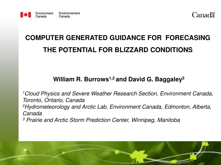 computer generated guidance for forecasing the potential for blizzard conditions