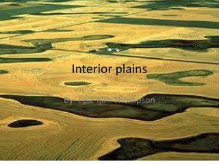 Interior plains