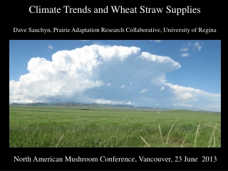 Climate Trends and Wheat Straw Supplies