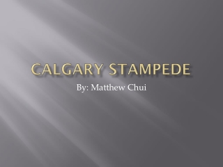 Calgary stampede