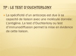 TP : Le test d’ OUchterlony - slide 1