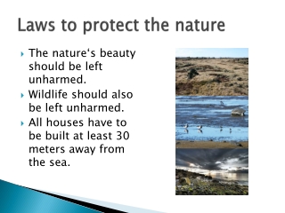 Laws to protect the nature