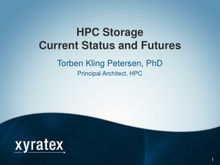 HPC Storage Current Status and Futures