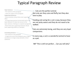 Typical Paragraph Review