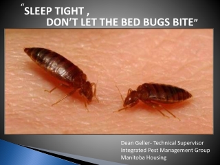 SLEEP TIGHT , DON’T LET THE BED BUGS BITE ”