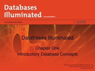 Databases Illuminated