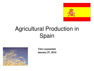 Agricultural Production in Spain