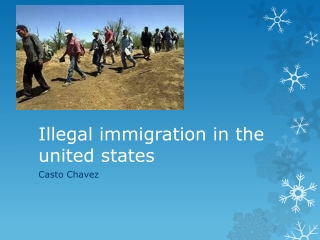 Illegal immigration in the united states