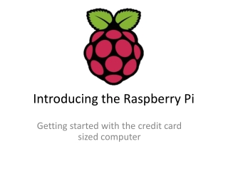 Introducing the Raspberry Pi
