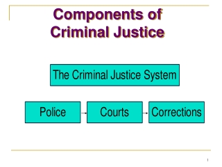 Components of Criminal Justice