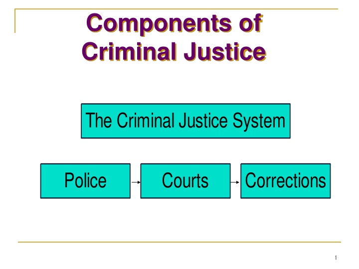 components of criminal justice