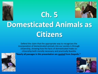 Ch. 5 Domesticated Animals as Citizens